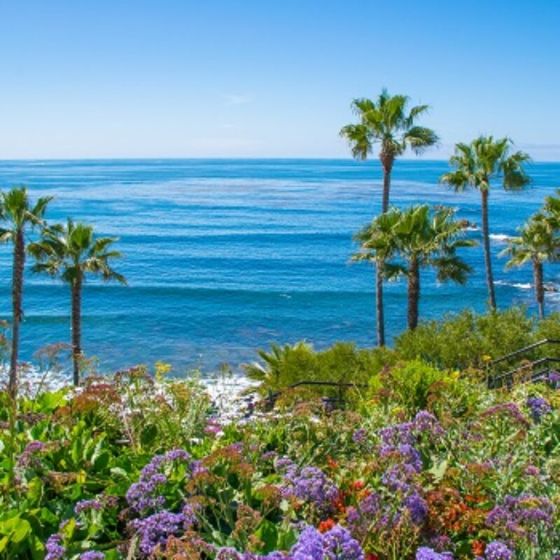 What Makes Laguna Beach an Ideal Winter Vacation Spot?
