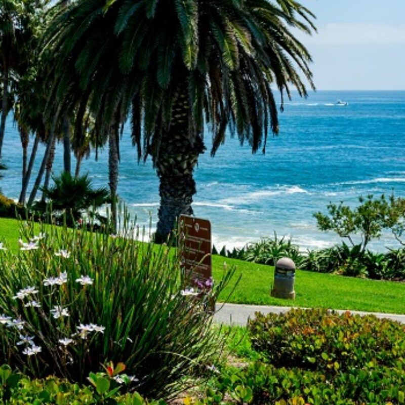 5 Trendiest Places in Laguna Beach