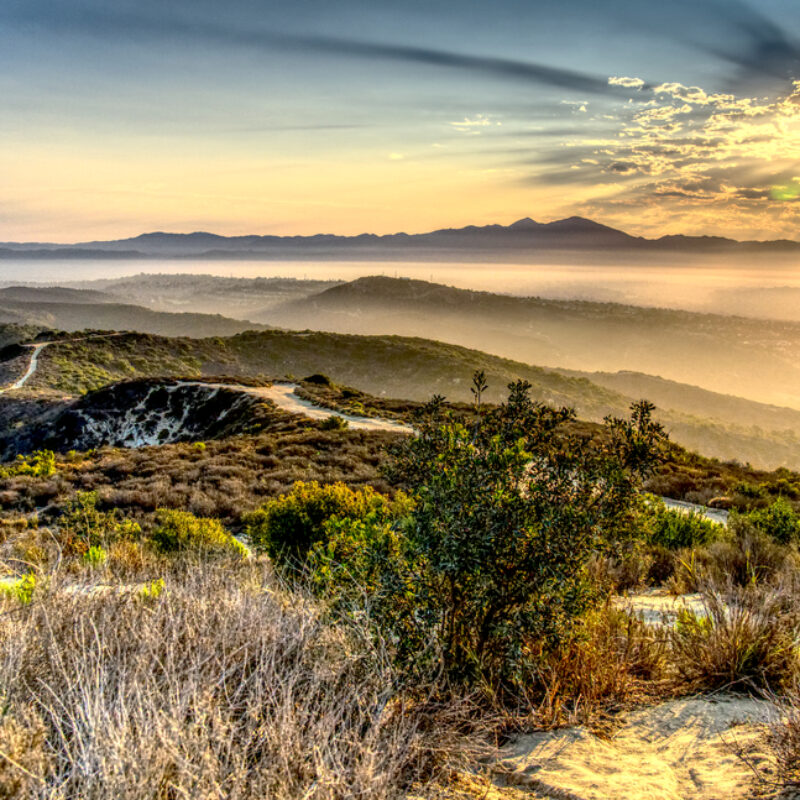 8 Fun Summer Activities and Events to Enjoy While Staying at Art Hotel Laguna Beach