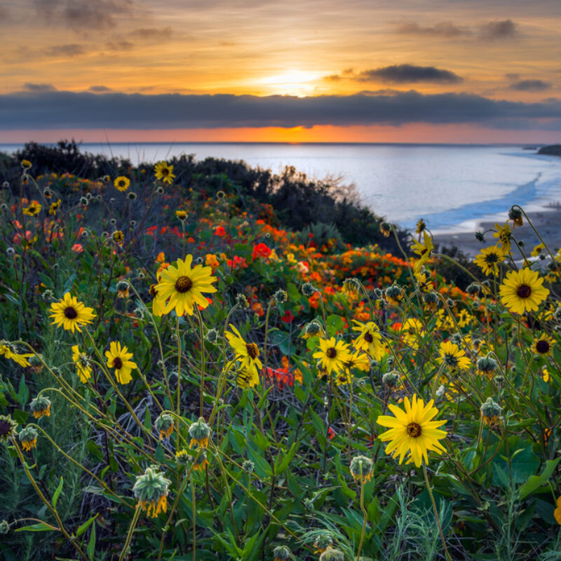 Take the Top of the World Hike in Laguna Beach