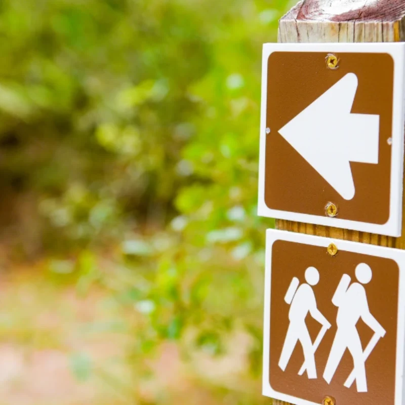 Discover the Trails and Beauty of Alta Laguna Park