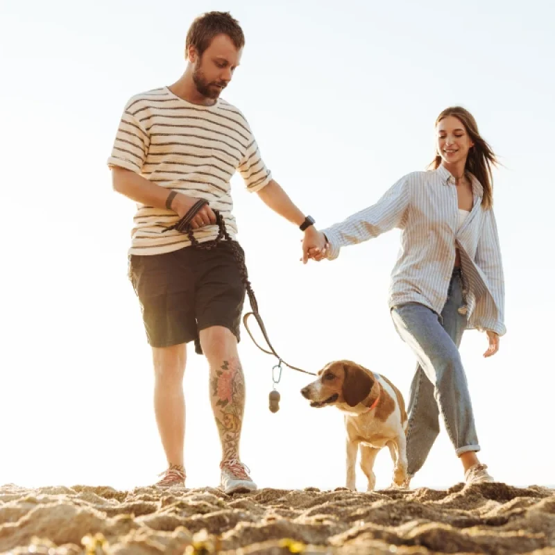 Is Laguna Beach Walkable? A Visitor’s Guide to Exploring on Foot