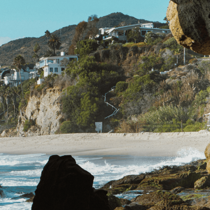 Pet-Friendly Laguna Beach Beaches, Parks, and Tips for Travelers