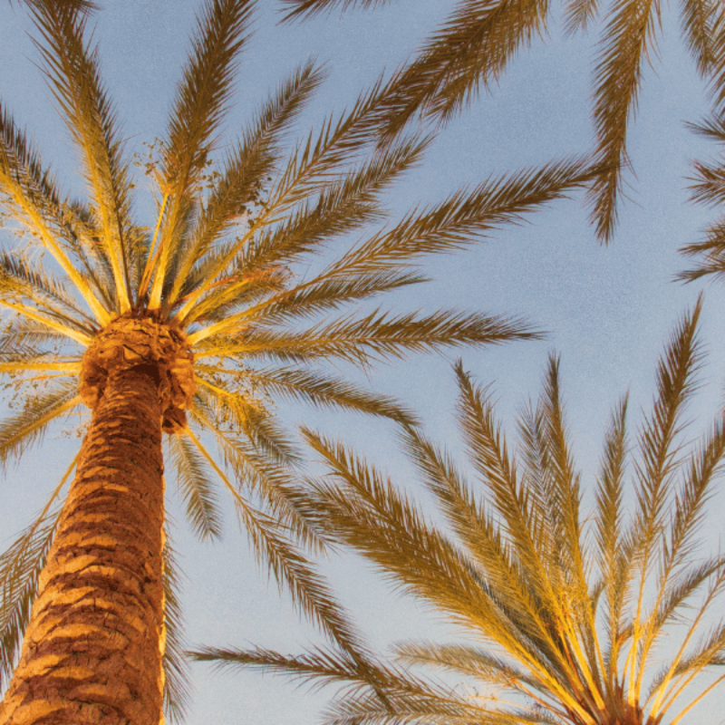 Family-Friendly Laguna Beach Activities for a Relaxed Coastal Getaway