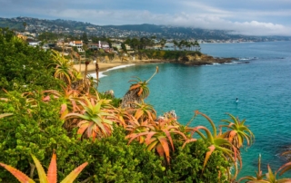 Spring Break Escape